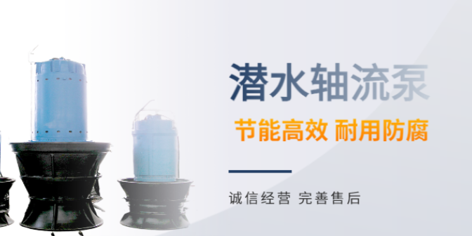 扬州立式表泵设备定制 南京三元环保设备供应