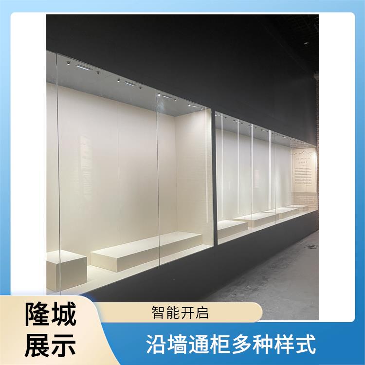 沿墻通柜多種樣式-新疆博物館沿墻柜廠