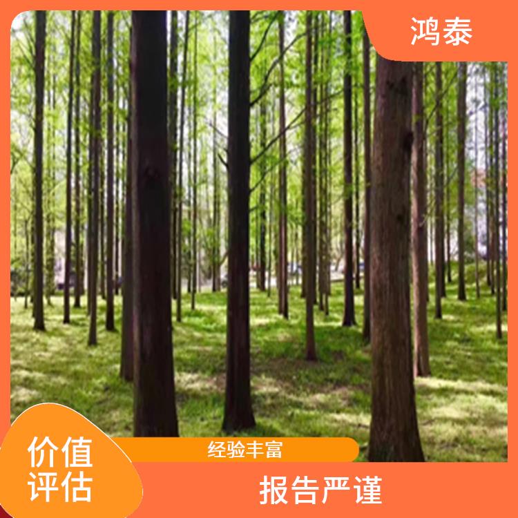 武汉市林场价值评估 经验丰富 全程标准化操作