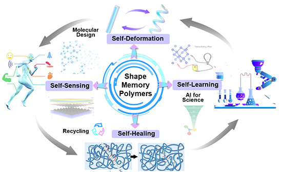 形状记忆材料：未来智能科技的基石