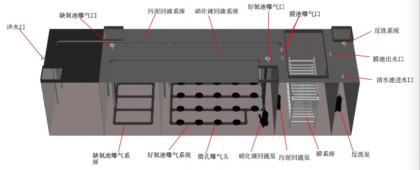 圖片5