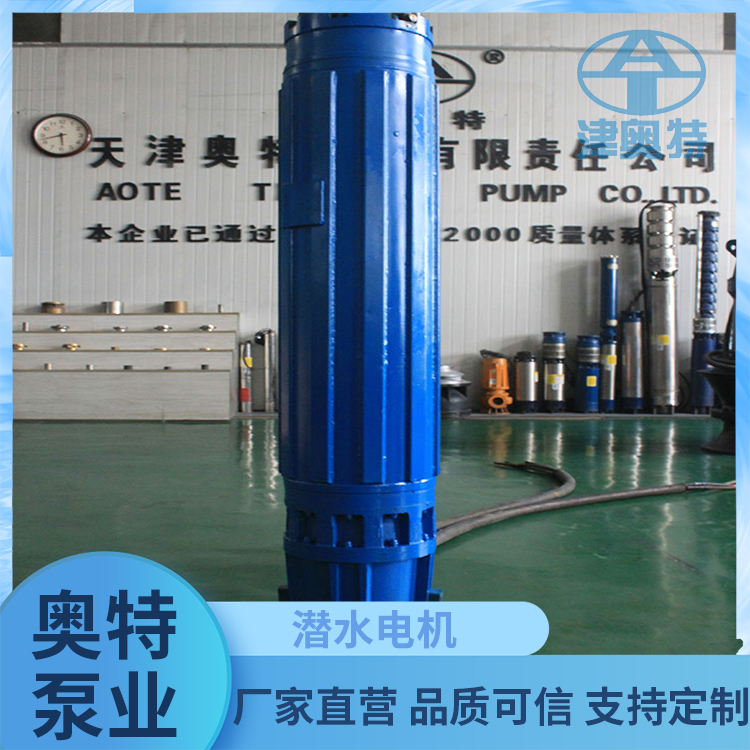 井用潜水电机 静音型 连续工作 高压 大功率 奥特泵业