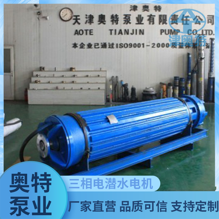 井用潜水电机 静音型 连续工作 高压 大功率 奥特泵业
