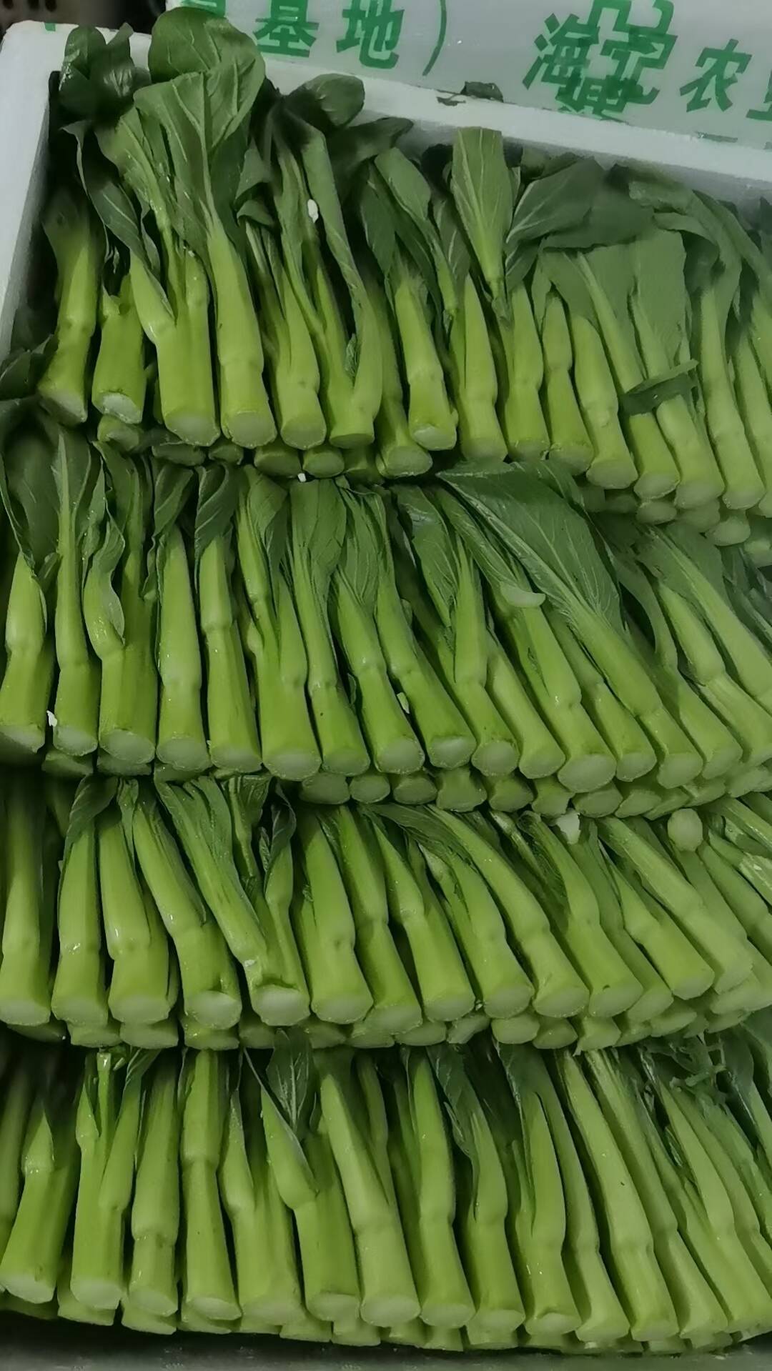 寮步食材配送/新鲜蔬菜/新鲜猪肉/免费配送上门服务