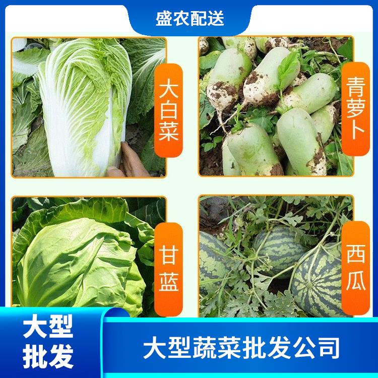 东凤饭堂食材配送服务公司 大型蔬菜批发公司 提供一站式平价蔬菜配送服务