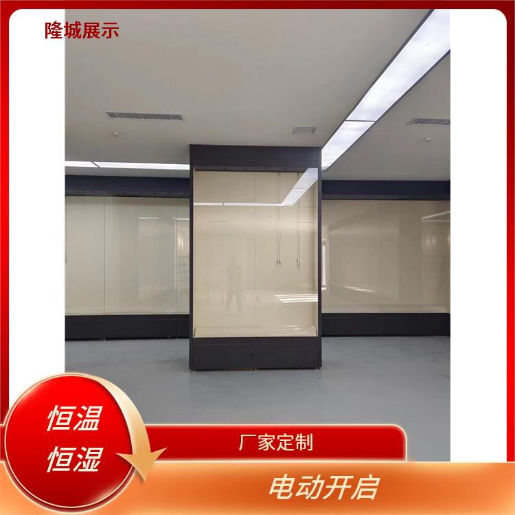 恒温恒湿 昭通博物馆展柜批发 隆城展示