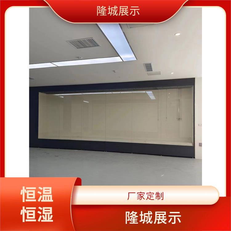隆城展示 眉山博物馆展柜供应 恒温恒湿