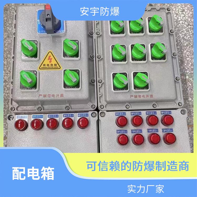 IIBT6防爆配电箱 广州双电源防爆配电箱