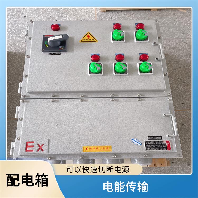 浙江不锈钢防爆照明动力配电箱 电话 BXD51-8K防爆照明动力配电箱