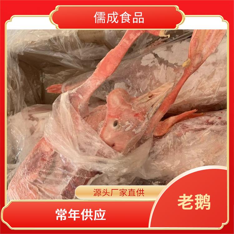 老鹅 阳江批发净膛老鹅 供货商