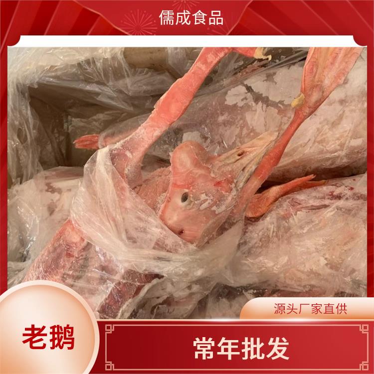 老鹅白条 恩施批发东北大鹅 直供