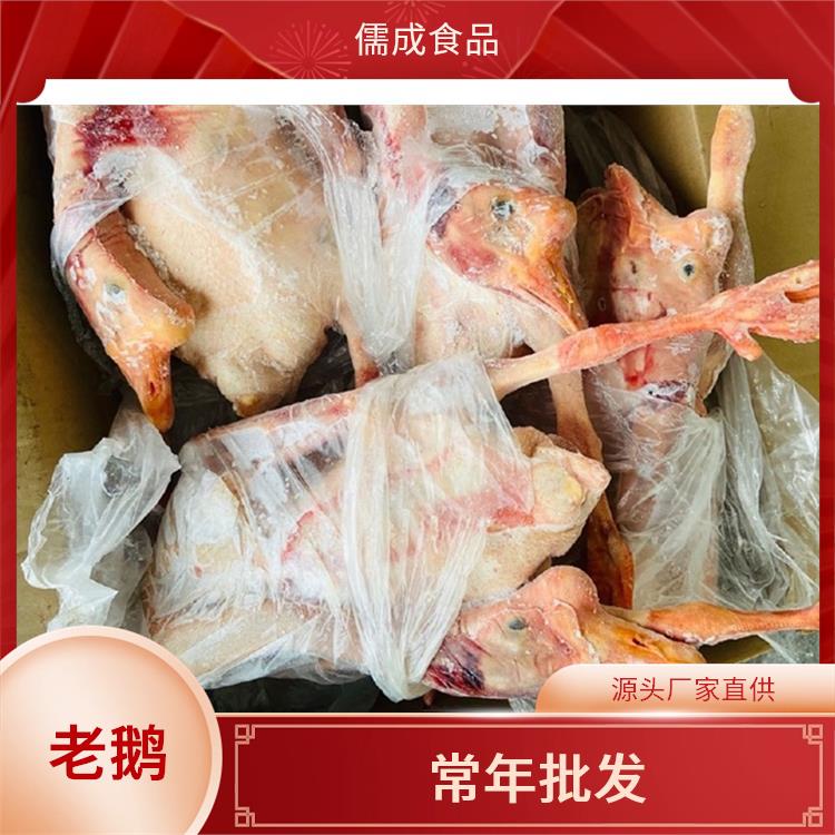 东北大鹅 雅安批发老鹅 生产厂家