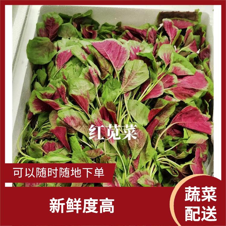 东莞桥头蔬菜配送服务站 能满足不同菜品的需求