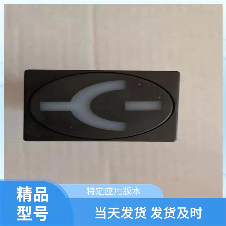 ABB模擬工作狀態(tài)指示器 雙色MGZ2000-2型 交直流電源均可使用