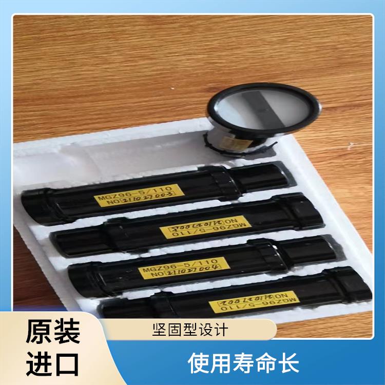 ABB模擬工作狀態(tài)指示器 MGZ96-5型和雙色MGZ2000-5型 應(yīng)用于配電開關(guān)柜面板