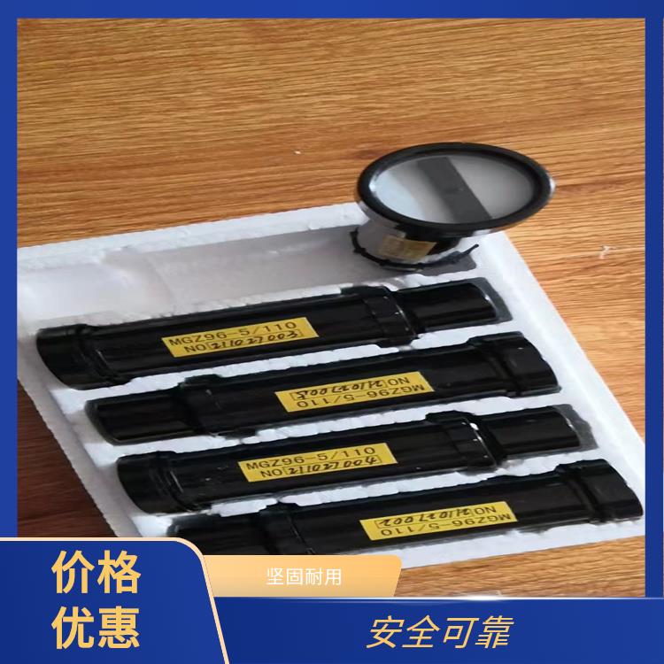 ABB模擬工作狀態(tài)指示器 雙色MGZ2000-1型 工作電壓范圍寬