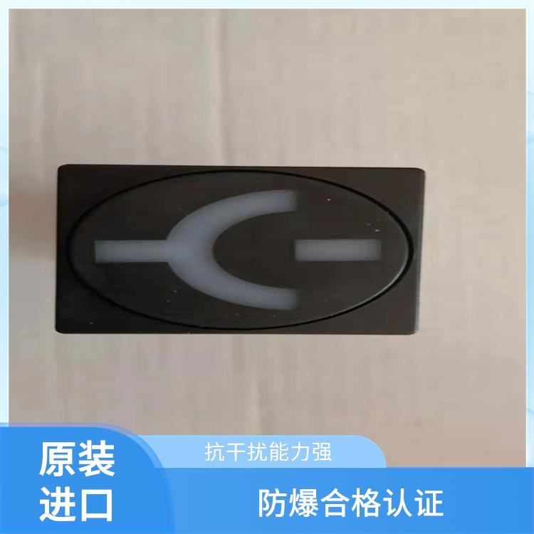 MGZ96-5型和雙色MGZ2000-5型 ABB模擬工作狀態(tài)指示器 工作電壓范圍寬
