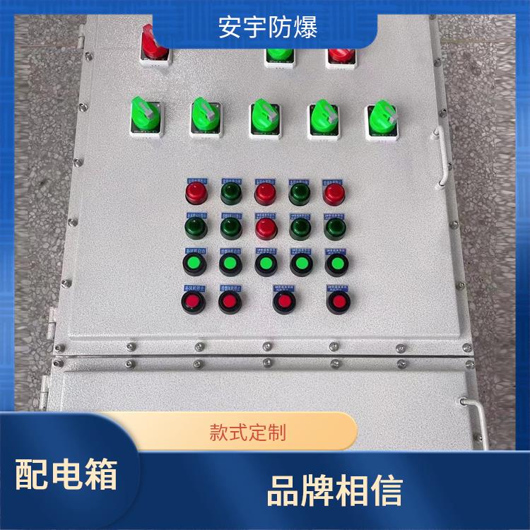 温州BXMD-12KXX防爆配电箱 IIBT4防爆配电箱 供应