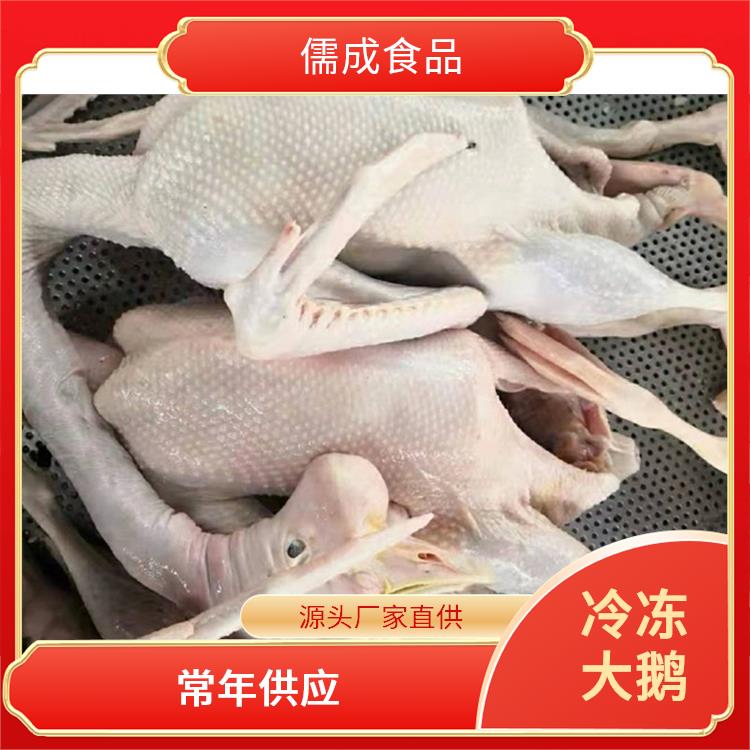 老鹅 常德批发老公鹅 批发