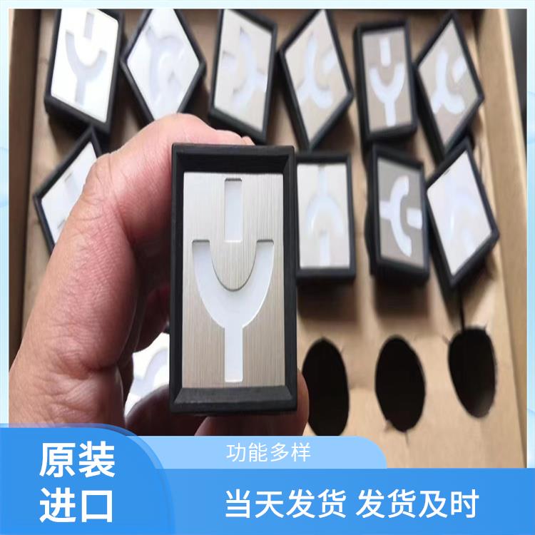 ABB模擬工作狀態(tài)指示器 MGZ96-1/110 交直流電源均可使用