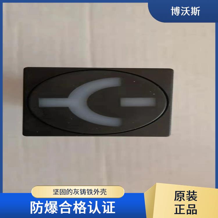 ABB模擬工作狀態(tài)指示器 MGZ2000-4型雙色MGZ2000-4型 應(yīng)用于電廠