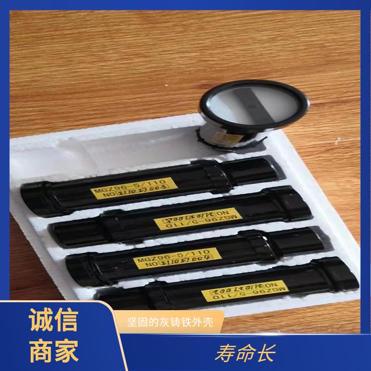 ABB模擬工作狀態(tài)指示器 MGZ96-5型和雙色MGZ2000-5型 發(fā)熱小