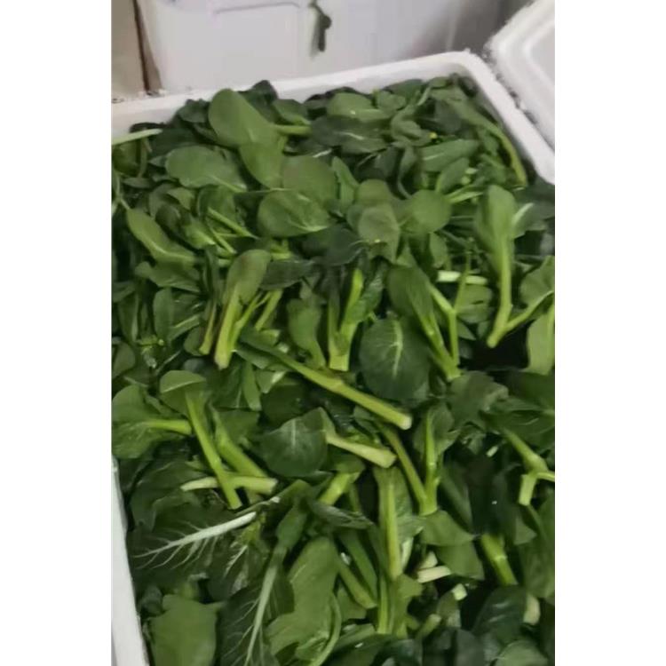 大岭山粮油调味品配送 提供一站式蔬菜粮油干货调料配送