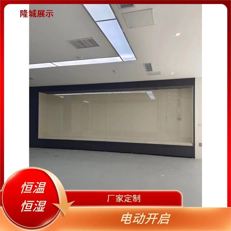 电动开启 眉山博物馆展柜价格 隆城展示