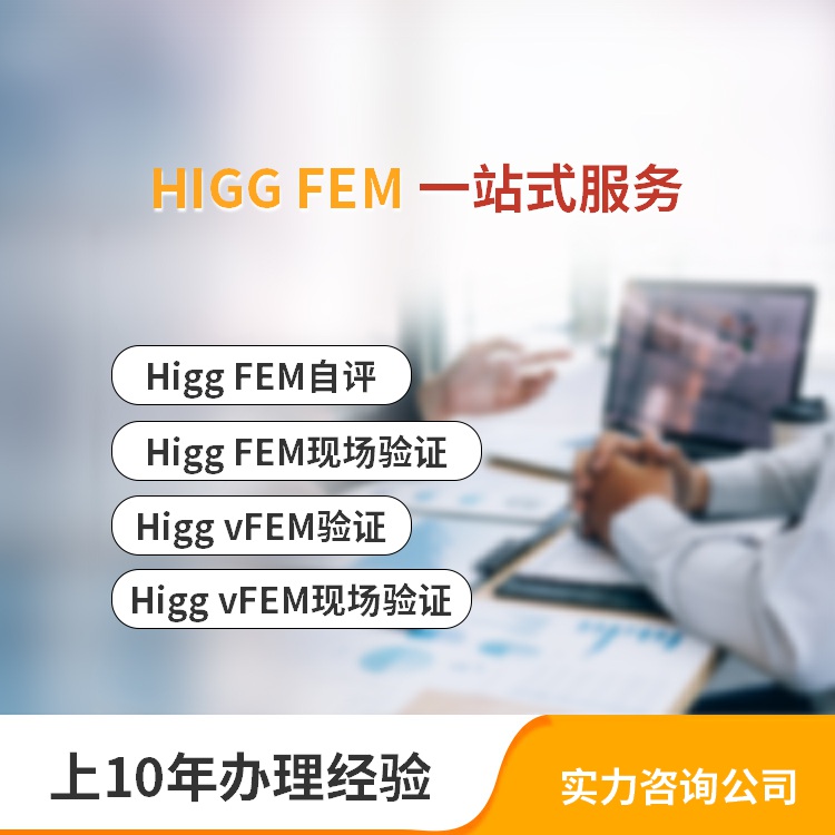 惠州FEM审核 怎么申请 FEM验厂