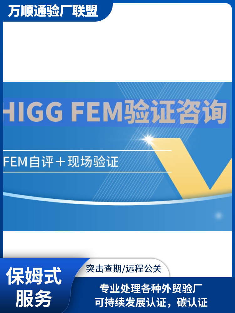 FEM审核