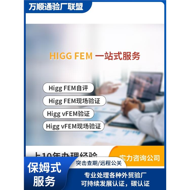 FEM认证 怎么通过 梅州FEM审核