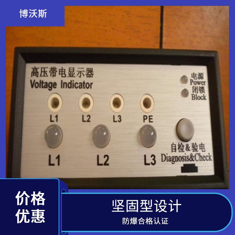 带电显示器 CVD8-IL-SF 带有测试孔.进行外部验电和核相测试