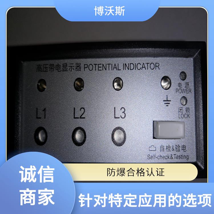 带电显示器 CVD3-IL-DP 带有测试孔.进行外部验电和核相测试