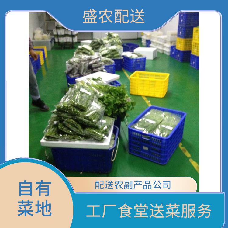 恩平饭堂食材配送服务公司 大型蔬菜批发公司 大型批发市场提供平价送菜服务