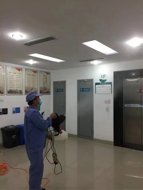 商丘饭店有老鼠怎么杀