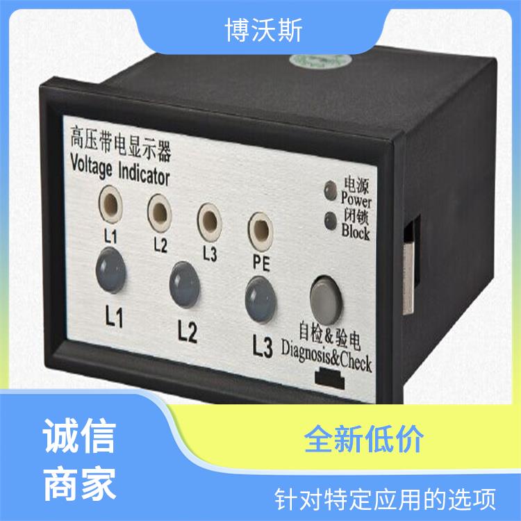 带电显示器 CVD7-IX 带有测试孔.进行外部验电和核相测试