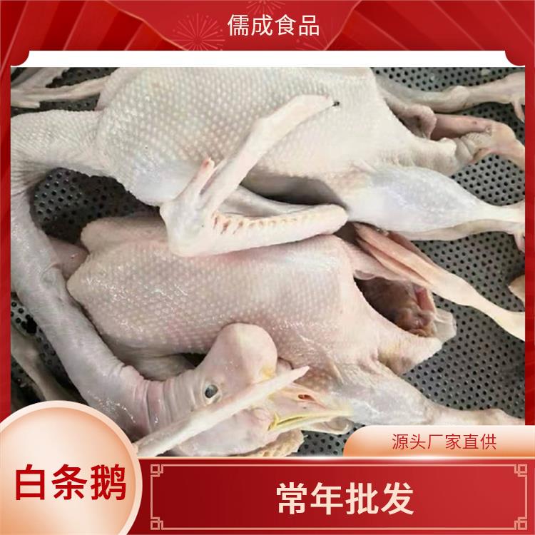 大包鹅 眉山批发老公鹅 供应商