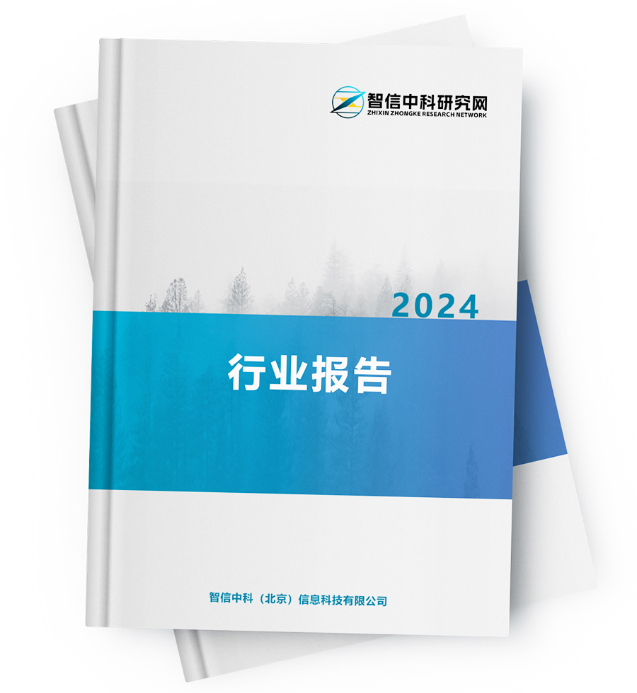 2024-2030年中国仲丁基锂市场前景洞察及投资价值研究报告