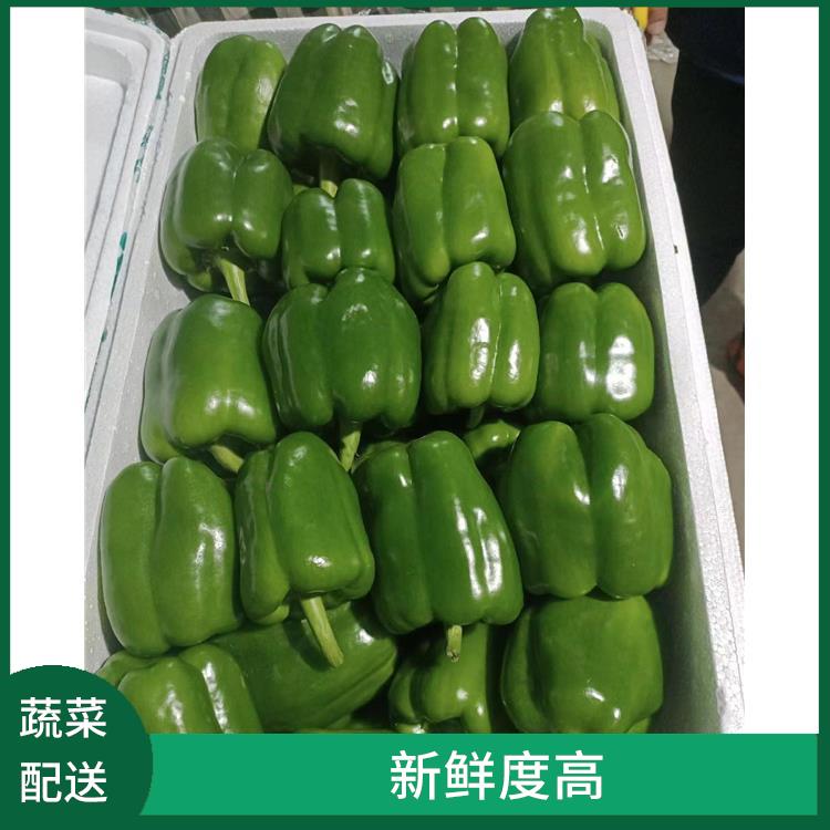 道滘镇蔬菜配送服务站 新鲜度高 时效性较强