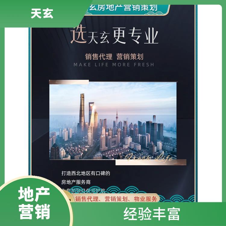 申扎县房地产营销策划电话 天玄策划 有丰富的操盘经验