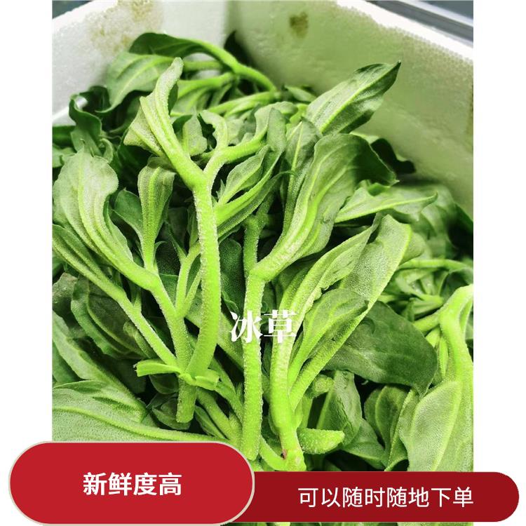 东莞沙田蔬菜配送电话 丰富多样 时效性较强