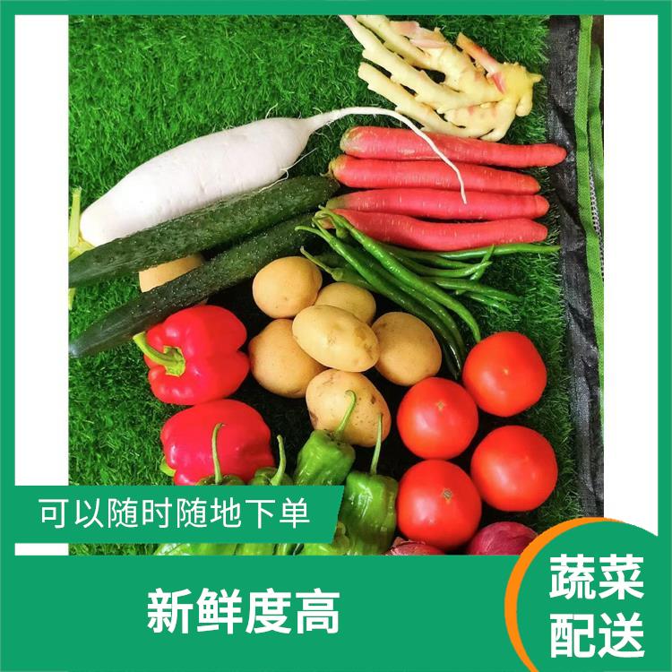 东莞东城区蔬菜配送平台 新鲜度高