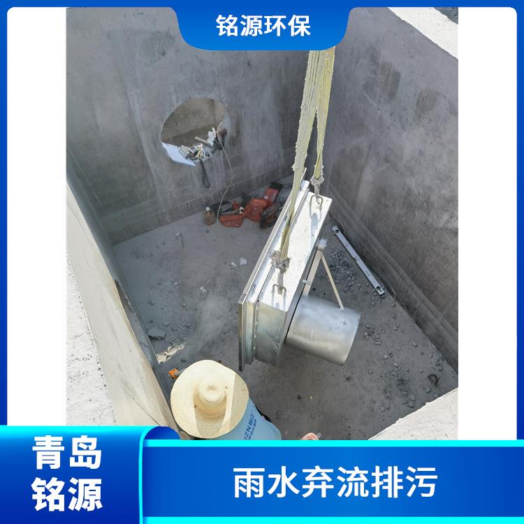 南京防倒灌装置控源截污 自控截污装置