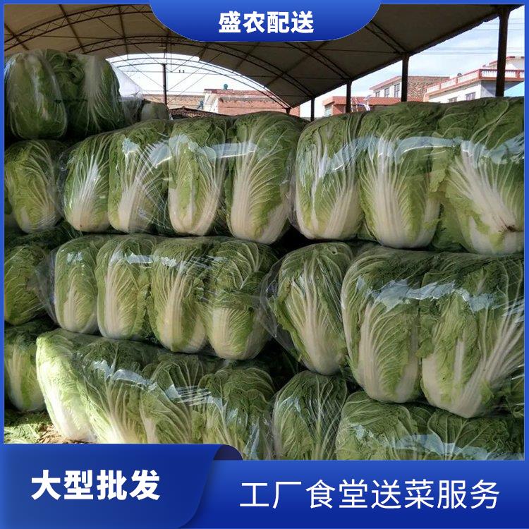 南山饭堂食材配送服务公司 配送农副产品公司 提供一站式平价蔬菜配送服务