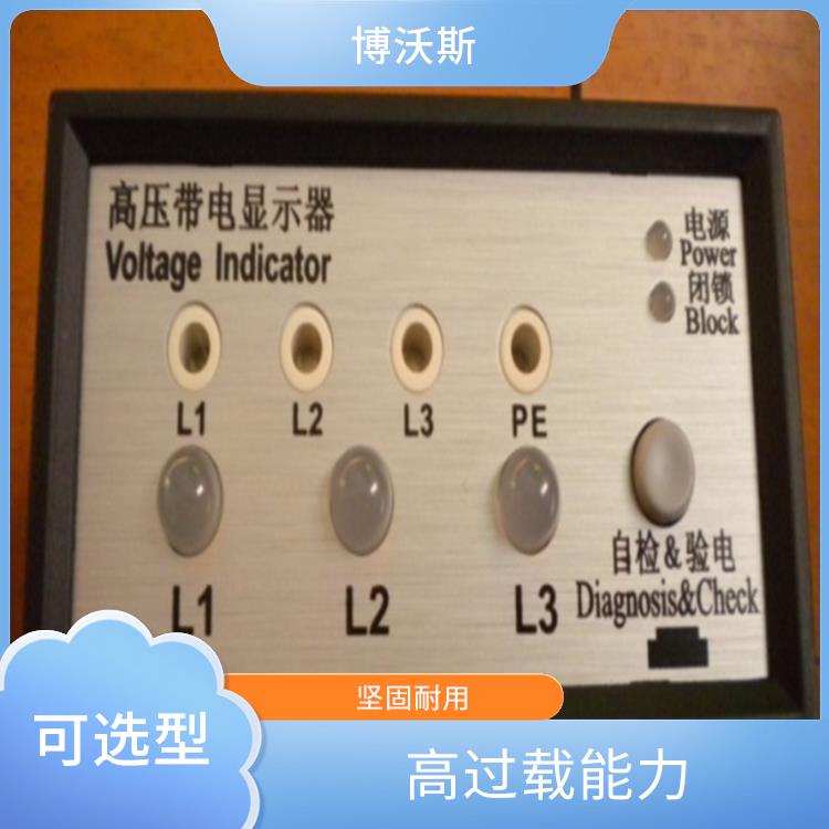 电压指示器 CVD3-IL 带有测试孔.进行外部验电和核相测试