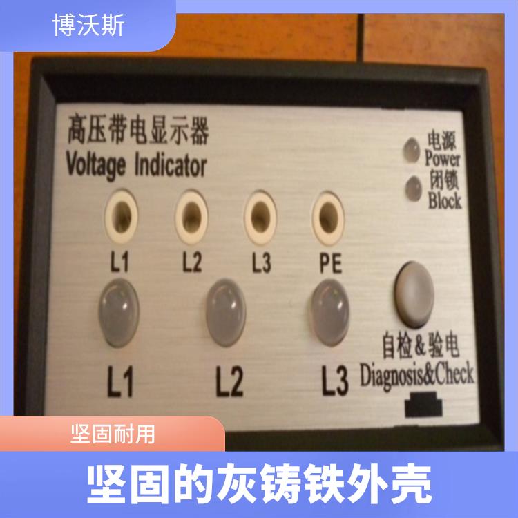 电压指示器 CVD3-IX 带有测试孔.进行外部验电和核相测试