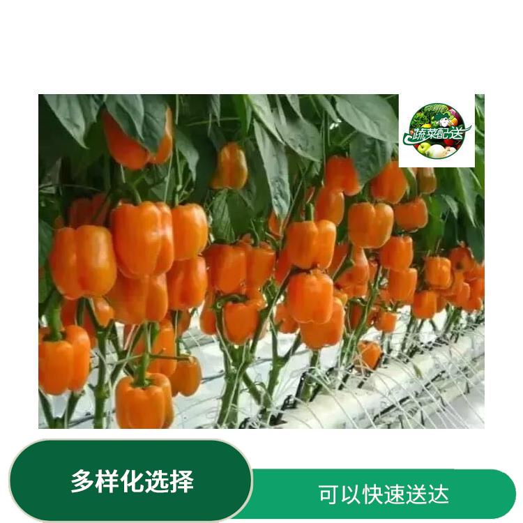 道溶食材配送公司