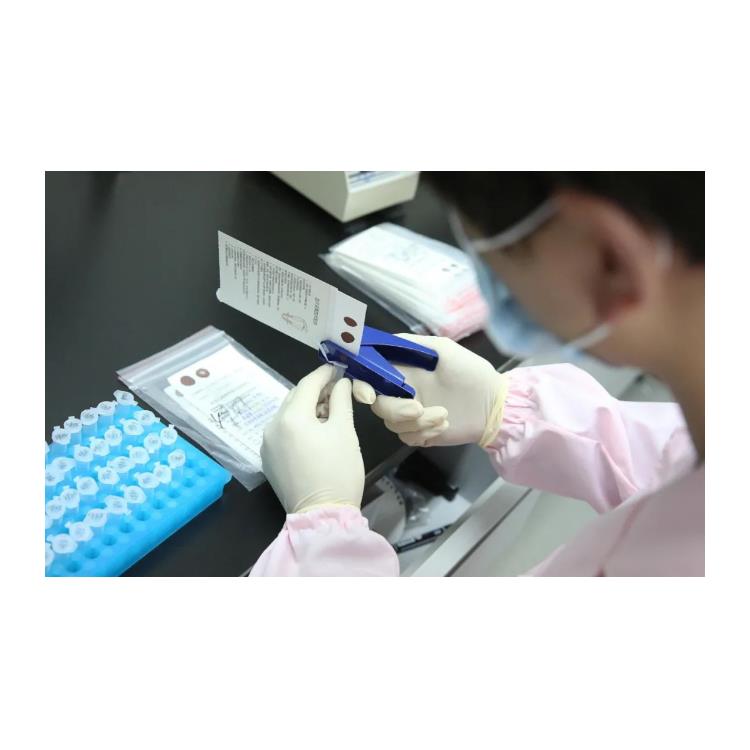 隱私親子鑒定