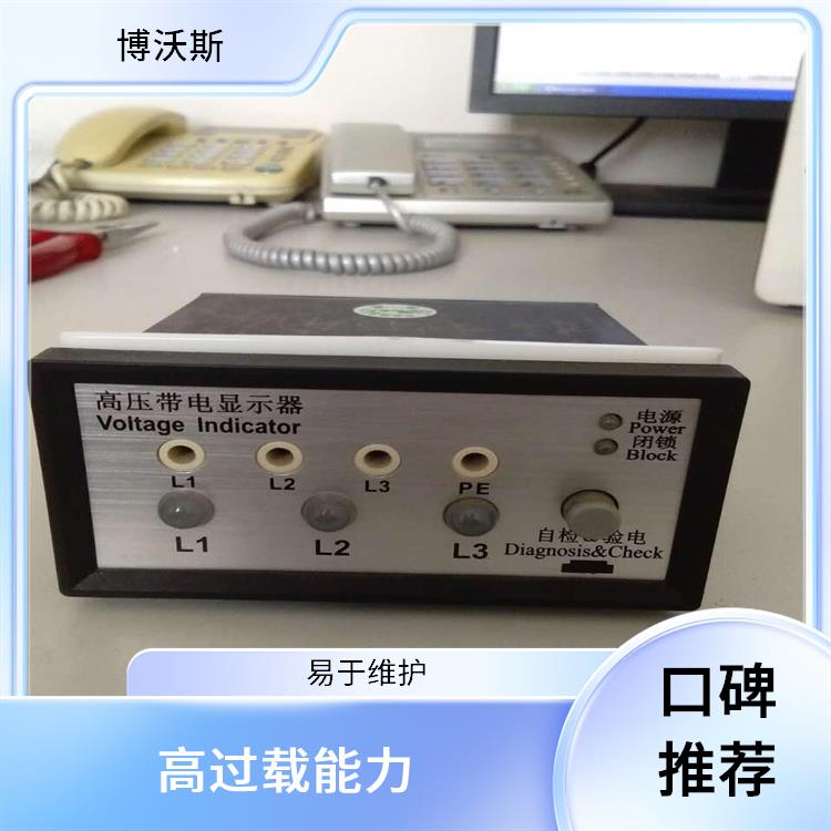 CVD3-IL-WP1 带电显示器 应用于电厂