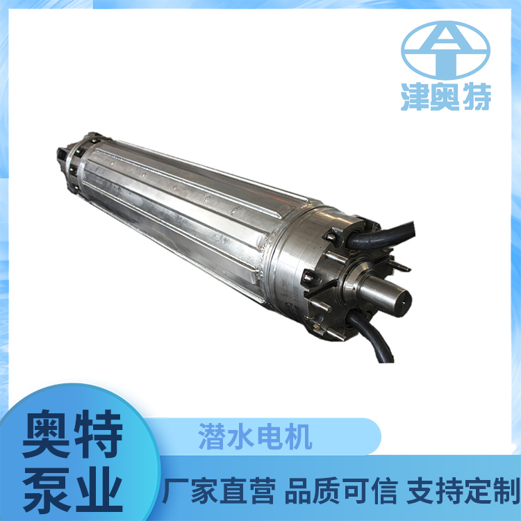 yqs200-45电机 三相潜水式 不锈钢 大功率 规格参数厂商